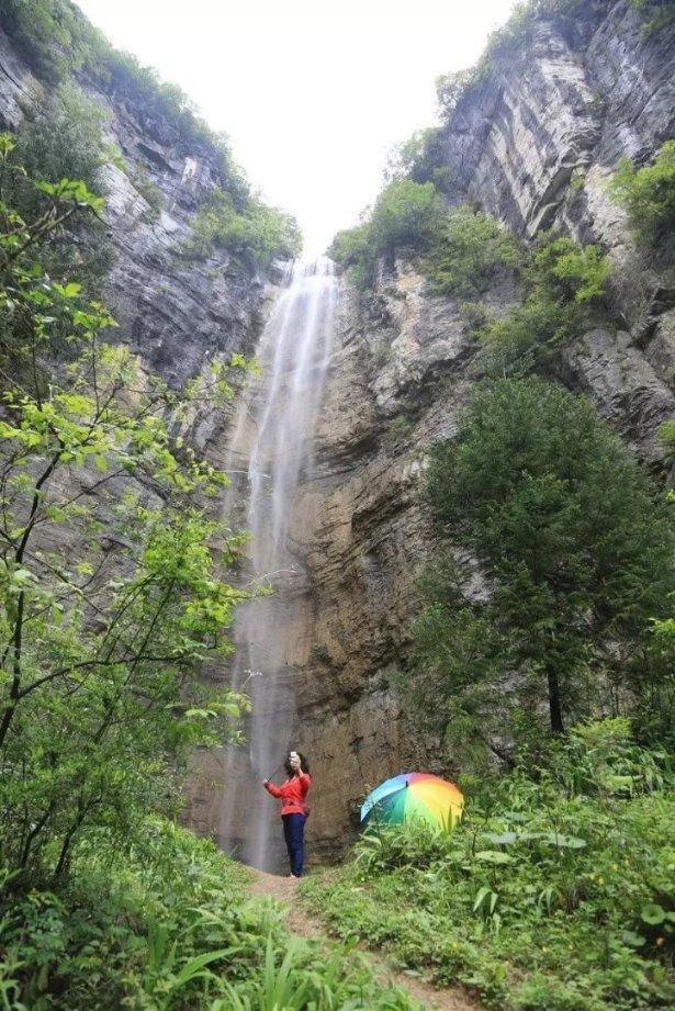 翻转吧，苹果虫